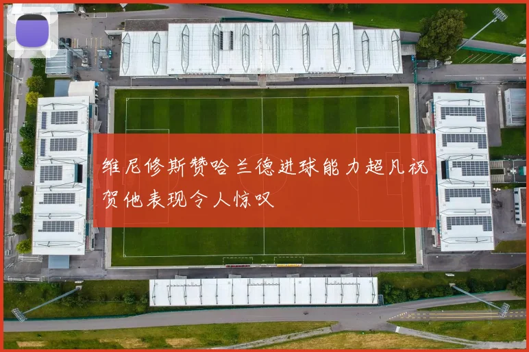 维尼修斯赞哈兰德进球能力超凡祝贺他表现令人惊叹