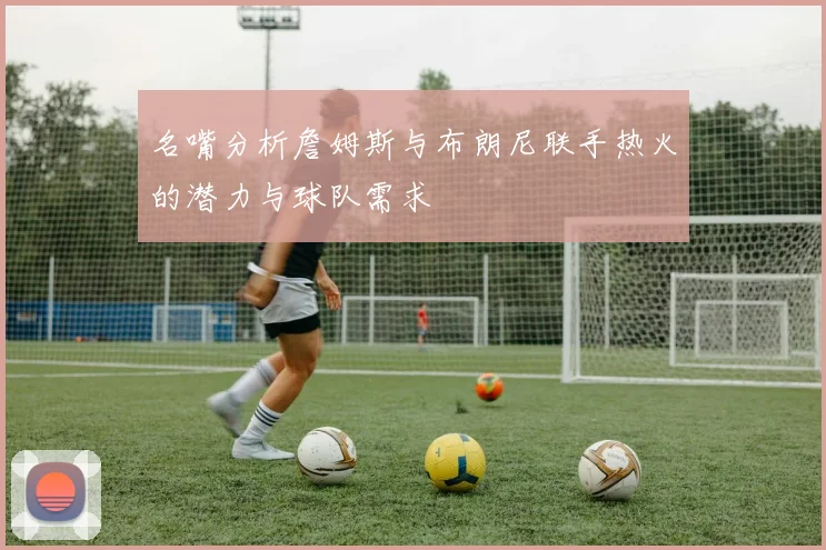 名嘴分析詹姆斯与布朗尼联手热火的潜力与球队需求
